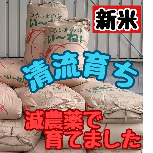 清流育ち　玄米30kg(令和4年産)　山里米　米/穀物