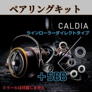 ダイワ(DAIWA)の専用です。レンチなし フルベアリングキット【ラインローラーダイレクトタイプ】(ルアー用品)