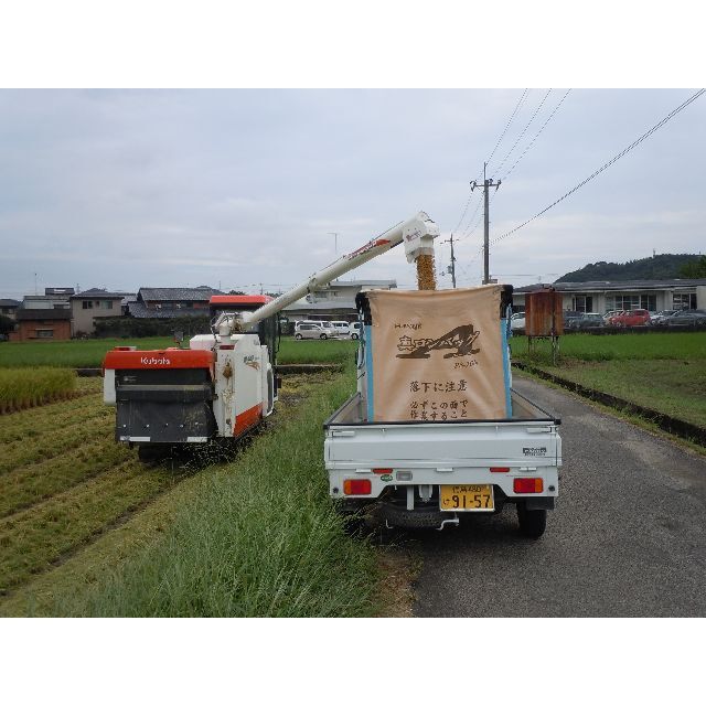 玄米24kg（8㎏×3）令和４年産新米ミルキークイーン　精米・分搗き精米対応