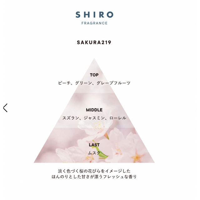 shiro シロ　さくら2019 ボディミスト　ハンドクリーム　セット 1