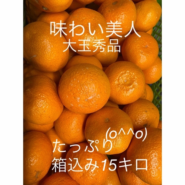 有田みかん農家直送🌟味わい美人　大玉秀品箱込みたっぷり15キロ 食品/飲料/酒の食品(フルーツ)の商品写真