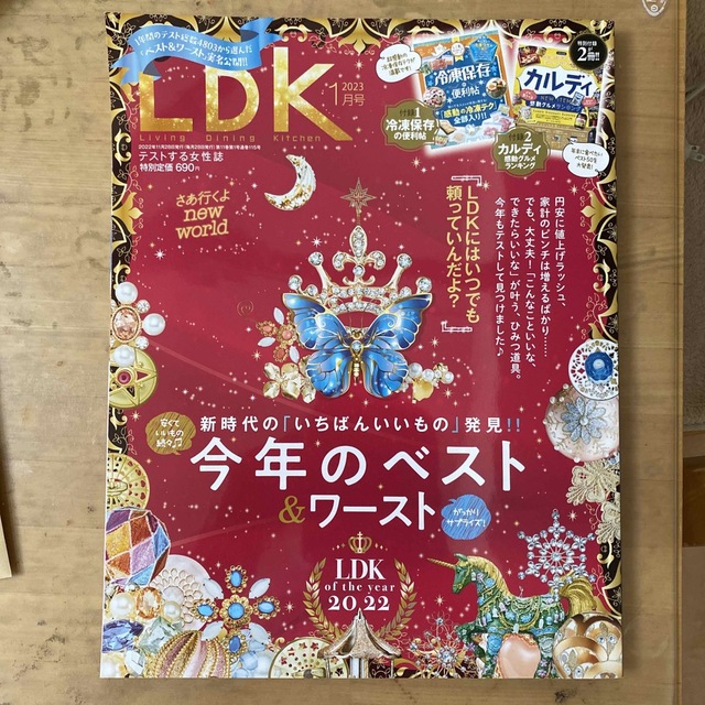 LDK (エル・ディー・ケー) 2023年 01月号 エンタメ/ホビーの雑誌(生活/健康)の商品写真