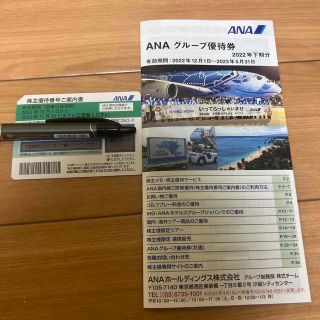 エーエヌエー(ゼンニッポンクウユ)(ANA(全日本空輸))のANA株主優待(その他)