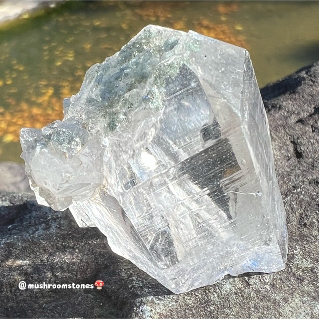 トライゴーニック 虹入り カクタスアメジスト サボテン水晶 ラフ トライゴーニック 虹入り カクタスアメジスト サボテン水晶 ラフ