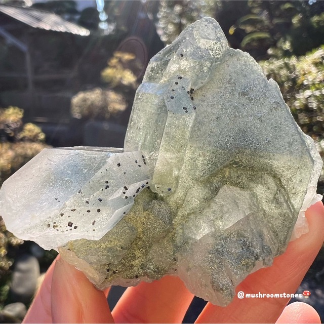 たっぷりクローライト ヒマラヤ水晶 メルー水晶 グリーン たっぷりクローライト ヒマラヤ水晶 メルー水晶 グリーン