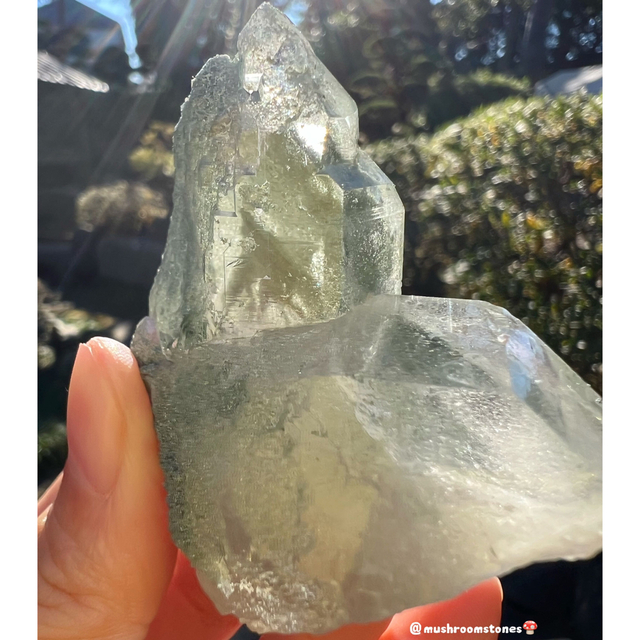 たっぷりクローライト ヒマラヤ水晶 メルー水晶 グリーン たっぷりクローライト ヒマラヤ水晶 メルー水晶 グリーン