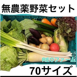 無農薬　野菜　詰め合わせ(野菜)