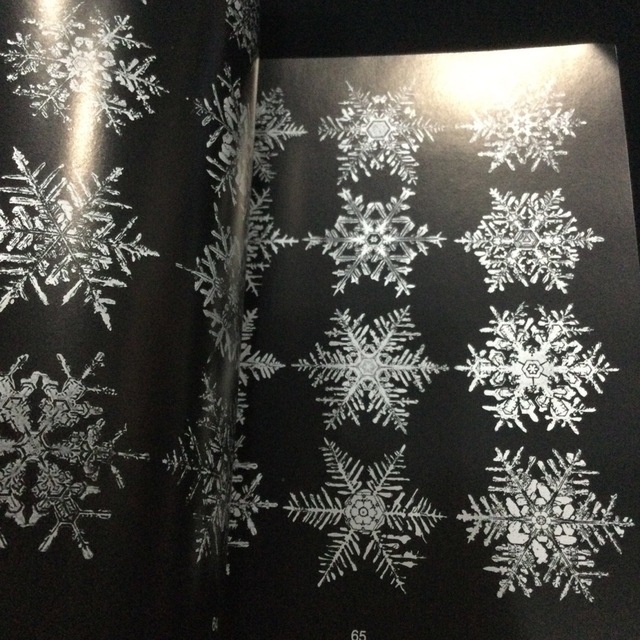 雪の結晶　洋書　英語　写真集　本　ウィルソン　ベントレー　snowflakes エンタメ/ホビーの本(洋書)の商品写真