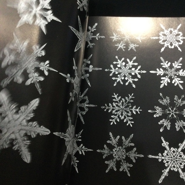 雪の結晶　洋書　英語　写真集　本　ウィルソン　ベントレー　snowflakes エンタメ/ホビーの本(洋書)の商品写真