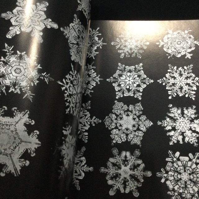 雪の結晶　洋書　英語　写真集　本　ウィルソン　ベントレー　snowflakes エンタメ/ホビーの本(洋書)の商品写真