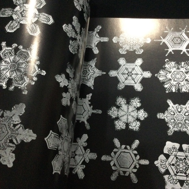 雪の結晶　洋書　英語　写真集　本　ウィルソン　ベントレー　snowflakes エンタメ/ホビーの本(洋書)の商品写真