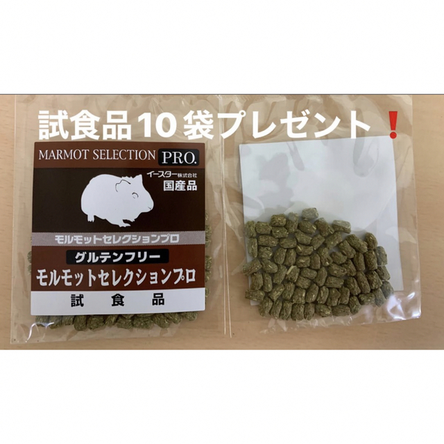 【数量限定お得セット❗️】モルモットセレクションプ600g×3袋＆試食品30袋付