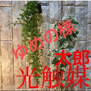 光触媒人工観葉植物ウォールグリーンフェイクハンドメイドエンジェルとゼラニューム(壁掛けミラー)