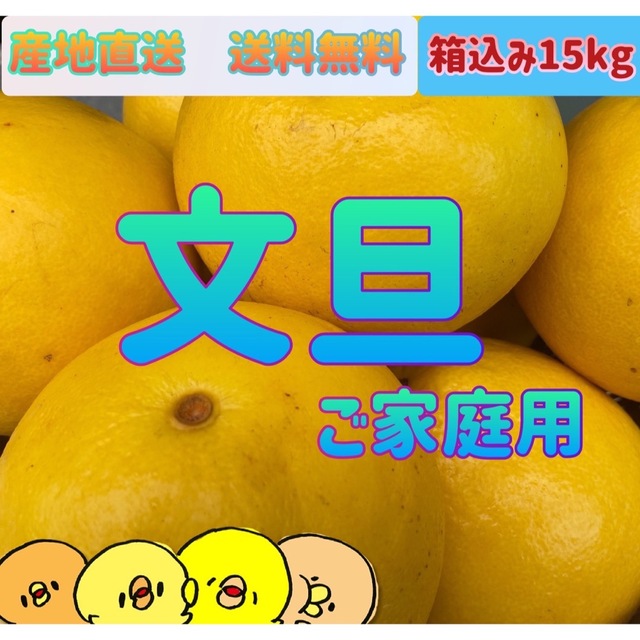 愛媛産　※文旦※【ご家庭用】フルーツ柑橘蜜柑果樹果物