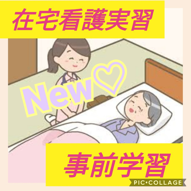 ♡♡在宅事前学習♡♡看護実習 看護学生 看護師国家試験 エンタメ/ホビーの本(語学/参考書)の商品写真