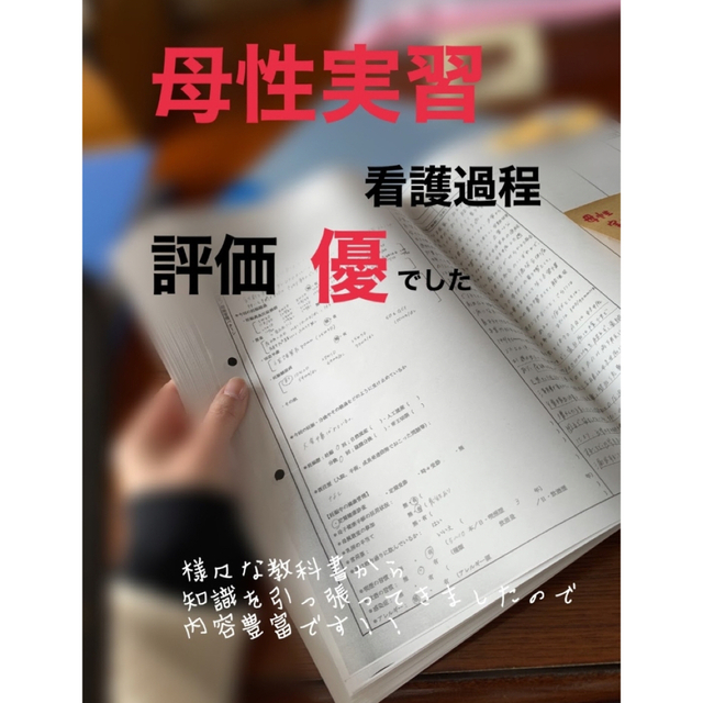 看護過程♡4点セット  看護師国家試験 看護過程　母性　老年　急性期　慢性終末期 エンタメ/ホビーの本(語学/参考書)の商品写真