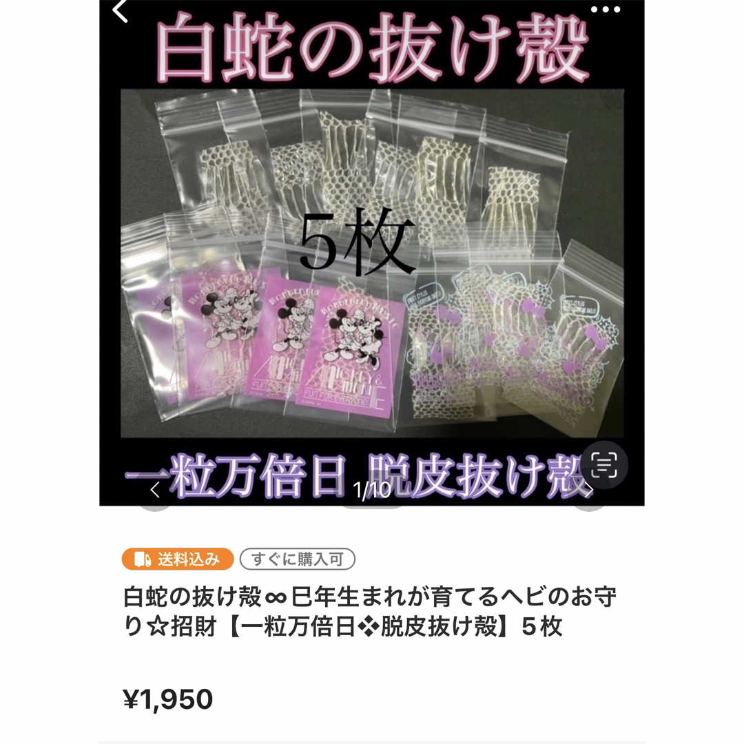 白蛇の抜け殻☆巳年生まれが育てるヘビのお守り☆全身☆貴重【天赦日】お札サイズ① 3