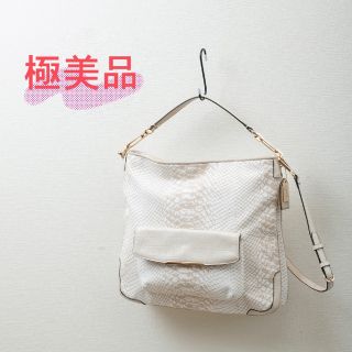メール便指定可能 極美品【コーチ】ドリーマー ティーローズ 2way 保存