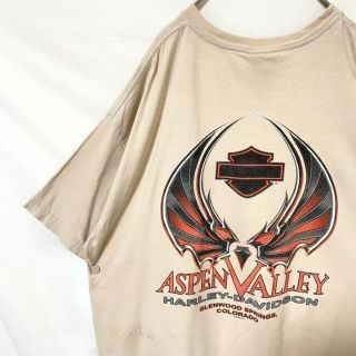 ハーレーダビッドソン(Harley Davidson)のUSA製00s 大人気　ハーレーダビッドソン　tシャツ 半袖　プリント　古着(Tシャツ/カットソー(半袖/袖なし))