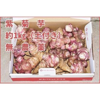 紫菊芋 紅菊芋 きくいも 1㎏ 匿名配送 栄養豊富 愛知産 新鮮 野菜 とりたて(野菜)