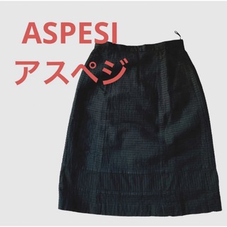アスペジ(ASPESI)のアスペジ ASPESIネイビー紺色膝丈スカート♡42(ひざ丈スカート)