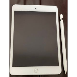 Applepencil + iPad mini 5 Wi-Fi Cellular