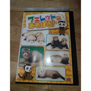 フェレットとあそぼう　DVD(趣味/実用)