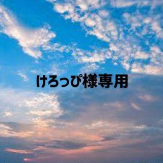 けろっぴ様専用の通販 by pipipi's shop|ラクマ