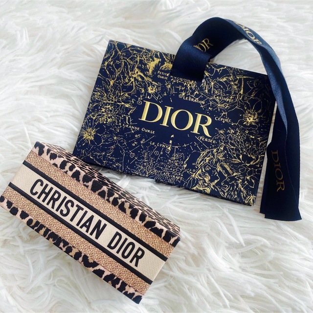 Dior リップケース 限定品 新品未使用