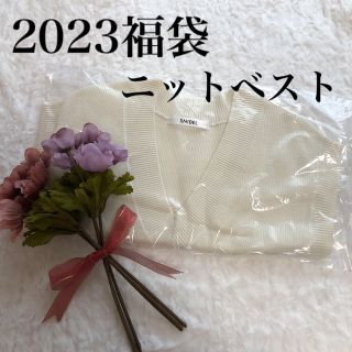 スナイデル(SNIDEL)のスナイデル2023福袋　ニットベスト　新品(ベスト/ジレ)