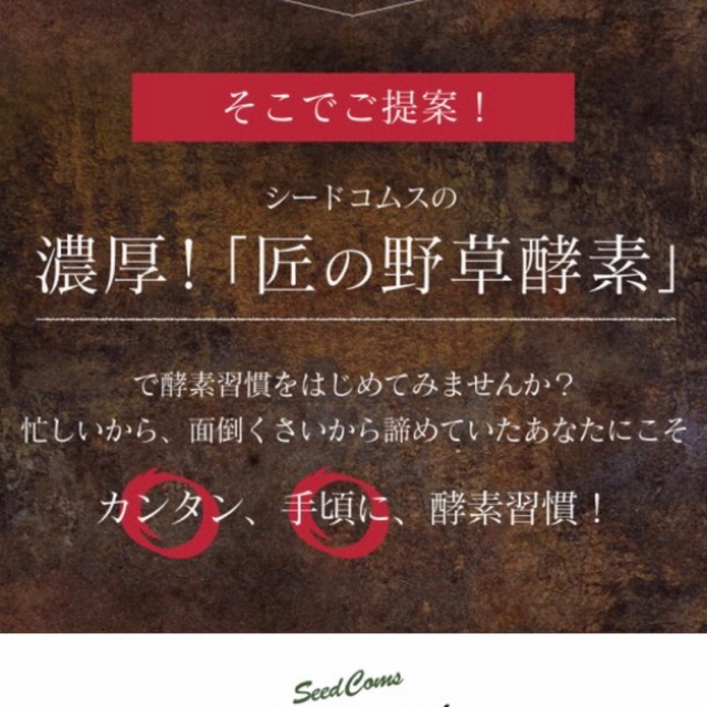 匠の野草酵素 野菜酵素 練酵素 ビタミン 乳酸菌  サプリメント 約3ヵ月分 食品/飲料/酒の健康食品(その他)の商品写真