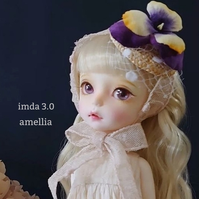 imda 3.0 amellia