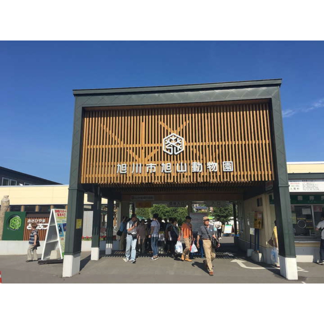 旭川⇄札幌 高速バス引換券 有効期限2023年1月31日 realmark.com.eg