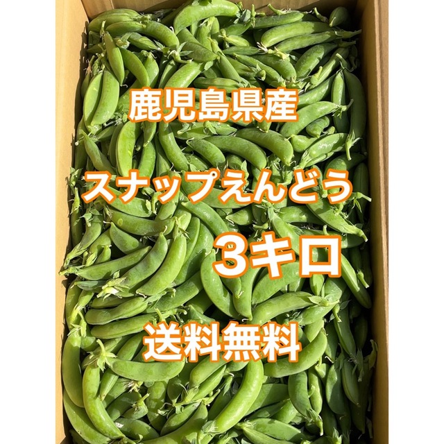 鹿児島県産　スナップえんどう　箱込3キロ 食品/飲料/酒の食品(野菜)の商品写真