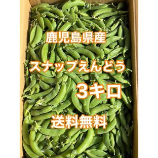 鹿児島県産　スナップえんどう　箱込3キロ(野菜)