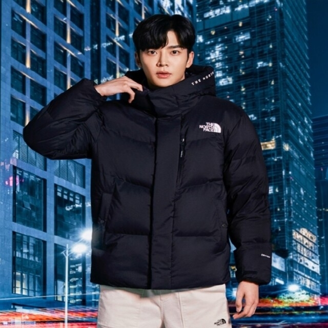 メンズTHE NORTH FACE 韓国限定 フリームーブダウンジャケット M