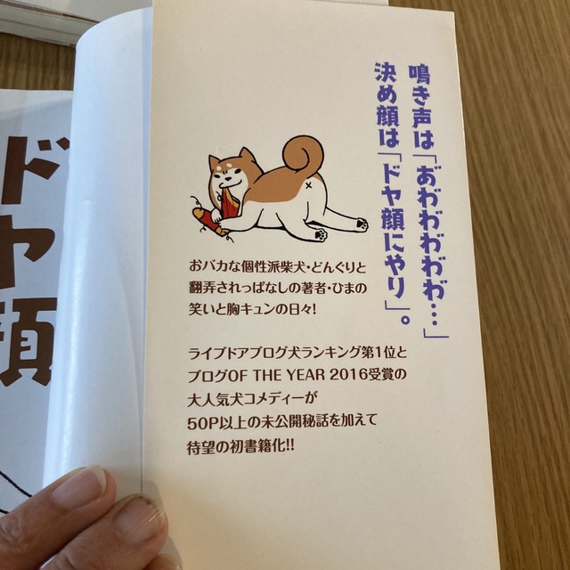 ドヤ顔柴犬どんぐり エンタメ/ホビーの漫画(その他)の商品写真