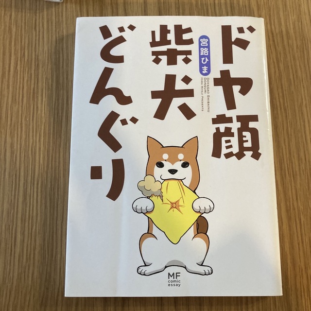 ドヤ顔柴犬どんぐり エンタメ/ホビーの漫画(その他)の商品写真