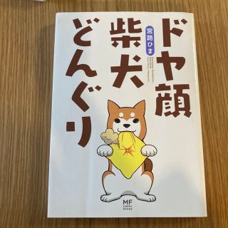 ドヤ顔柴犬どんぐり(その他)