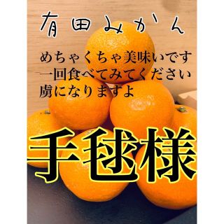 有田みかん　手毬様10㎏ 限定3箱(フルーツ)