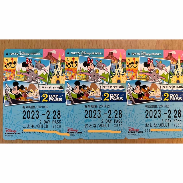 Disney(ディズニー)のディズニーリゾートライン　フリーきっぷ チケットの施設利用券(遊園地/テーマパーク)の商品写真