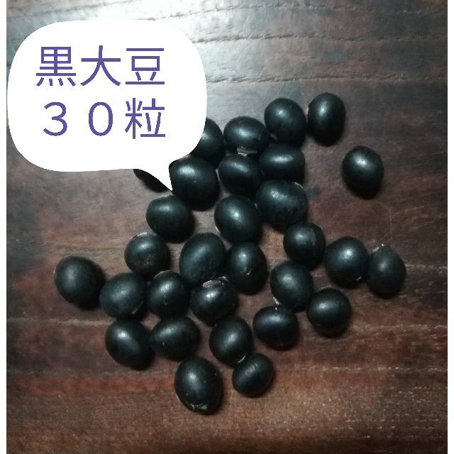 【黒大豆　ダイズ　60粒】晩生　枝豆も美味　自然農法　自然栽培　在来種　自家採種 食品/飲料/酒の食品(野菜)の商品写真