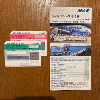 エーエヌエー(ゼンニッポンクウユ)(ANA(全日本空輸))のANA 株主優待券２枚と冊子(その他)