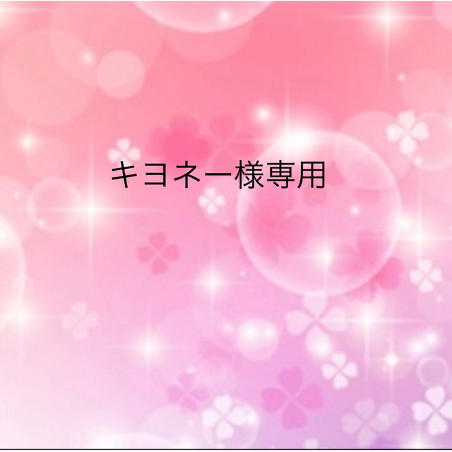 キヨネー様専用 その他 その他 carolinagelen.com