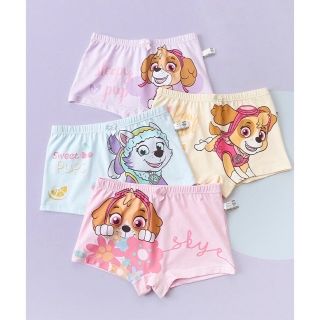 新品　パウパトロール 　下着　パンツ　100cm  4枚 女の子　ショーツ(下着)