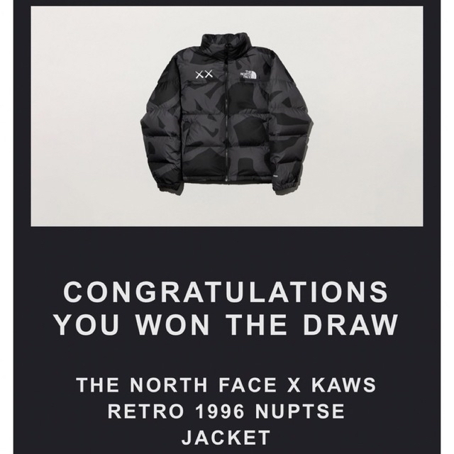 KAWS x The North Face  Retro 1996