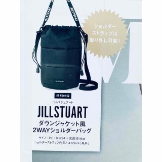 ジルスチュアート(JILLSTUART)のMUSE ミューズ 1月号付録 ジルスチュアート 2wayショルダーバッグ(ショルダーバッグ)