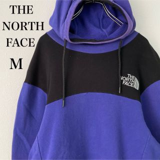 ザノースフェイス(THE NORTH FACE)のTHE NORTH FACE ノースフェイス ハイネック パーカー 紫 メンズM(パーカー)