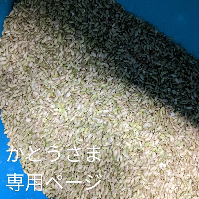 タムLove♡様専用・ご相談ページ】令和6年度新米・農家直送 丹後