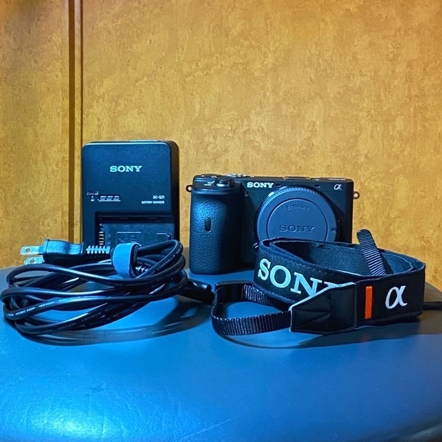 美品　SONY α6600 ボディ　ミラーレスカメラ